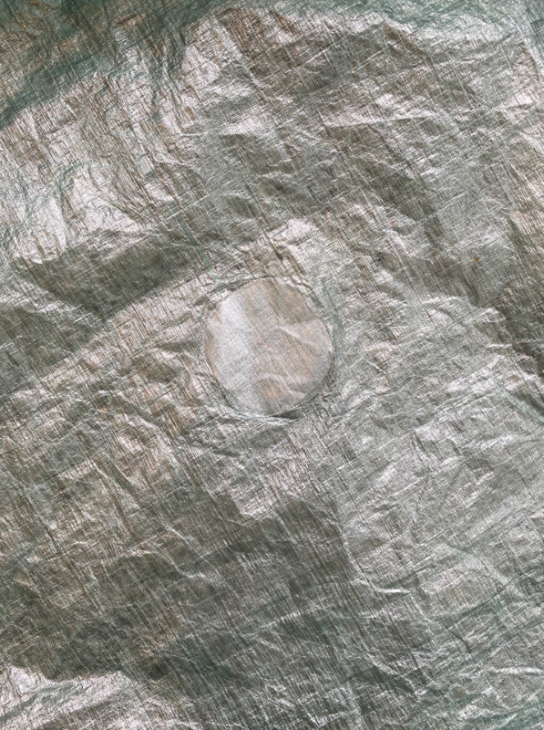 Tarp 3 resized.PNG
