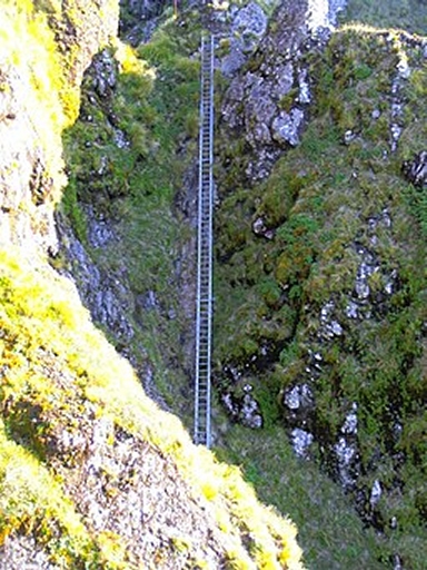 Tararua_steel_ladder.jpg