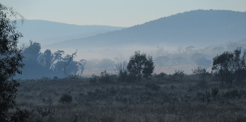 naas_valley_morning_two.jpg