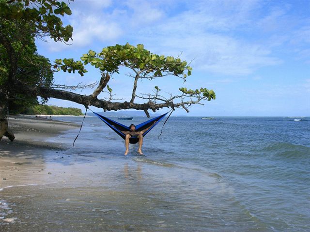 tree and water.jpg