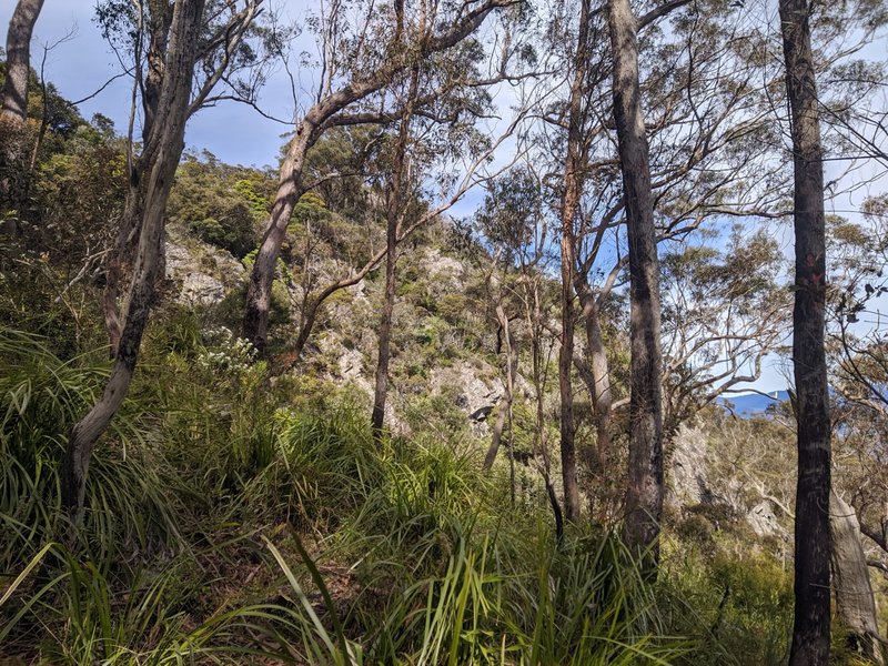 Mowburra-Peak-Approach.jpg