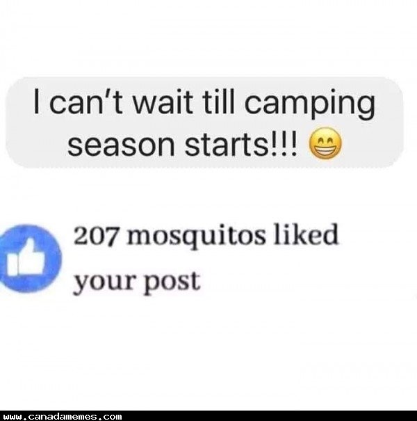 mosquitos.jpg