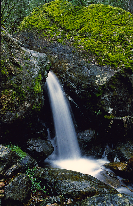 Spout on Bluff Creek_Burrowa-Pine Mtn NP_2004.png