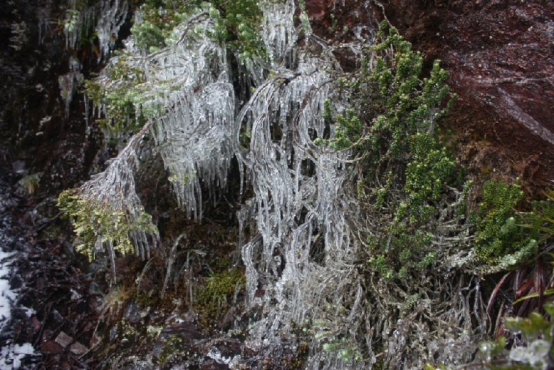 NE Ridge icicles.JPG