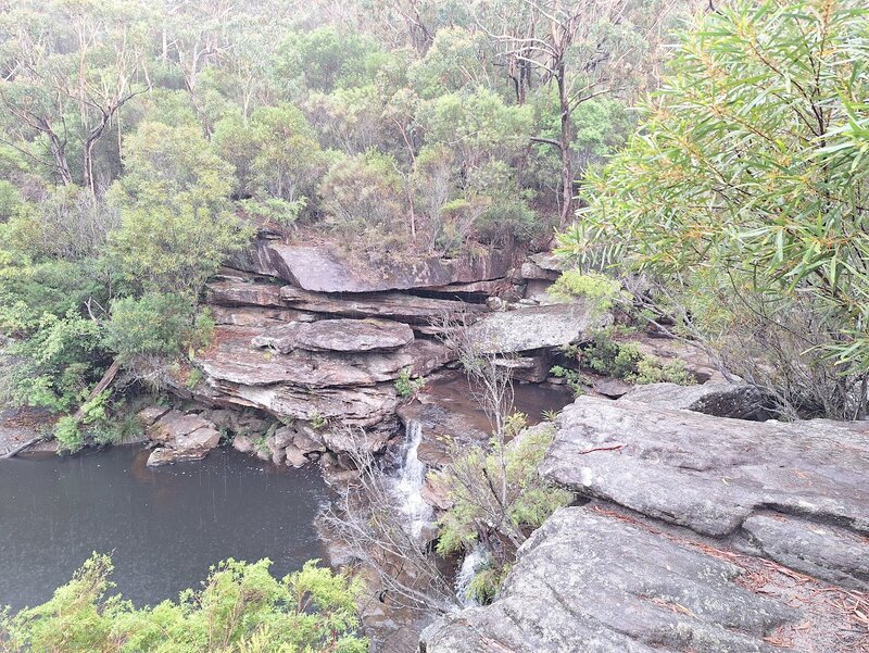 20250111_121002.jpg