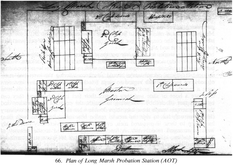 Plan Long Marsh.jpg