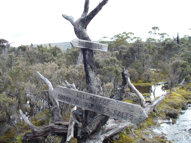 delltrack 037.jpg