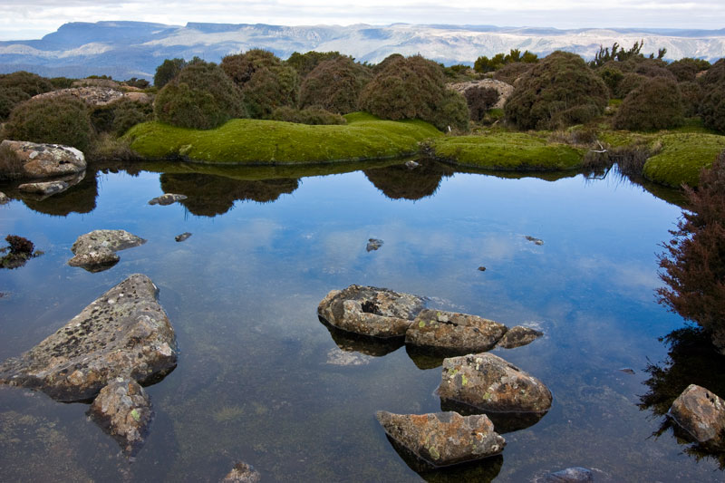 BushwalkPhoto.jpg