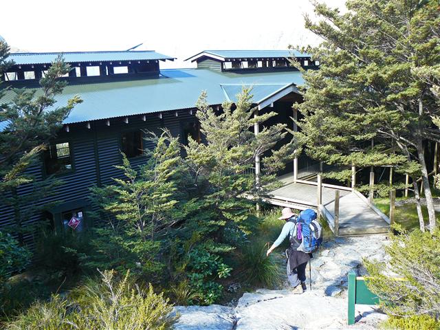 NZ 09 (123) (Small).jpg