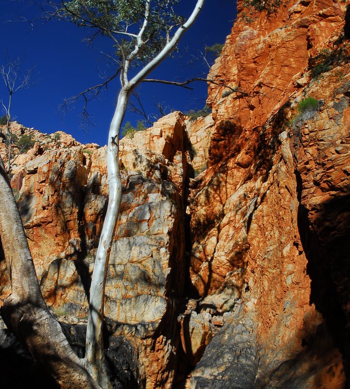 Standley chasm panorama (1).jpg