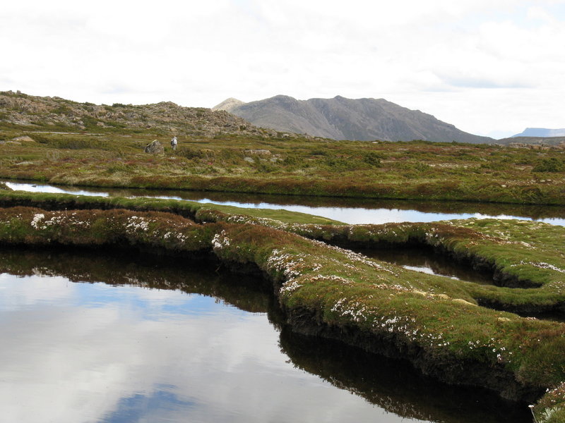 IMG_4696 Cushion plants. ponds and Florentine Peak.JPG