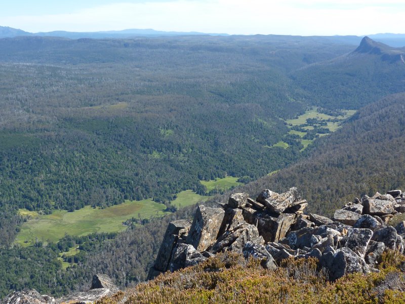 Lees Paddocks.jpg