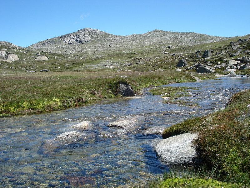 Wilkinson's Ck looking twd Mt Townsend.JPG