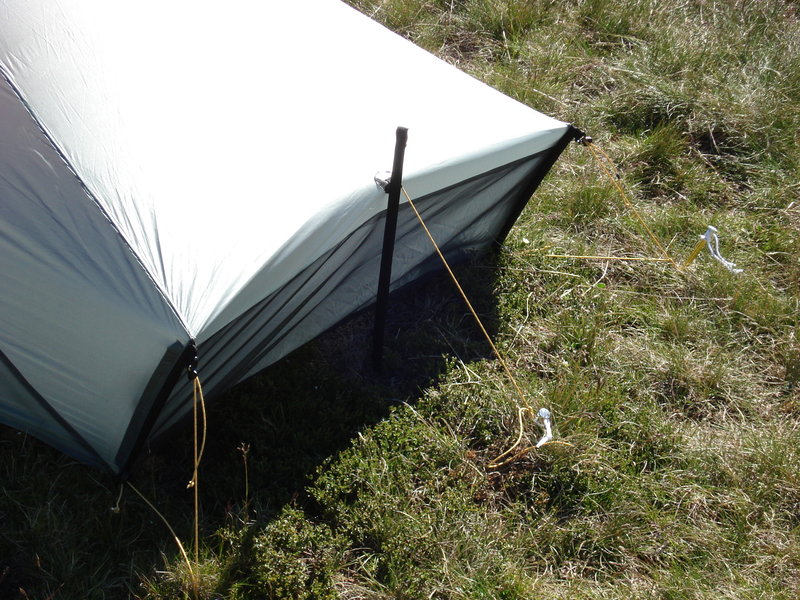TT SS 2010 - foot showing extra stake.JPG