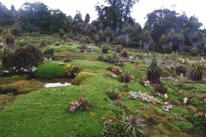 3936Garden.jpg