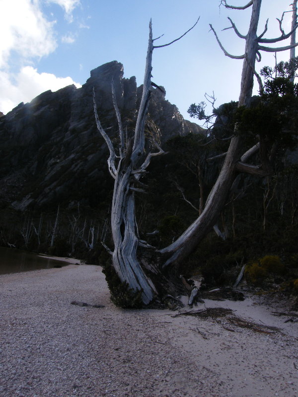 THAT King Billy On The Beach At Rhona.JPG